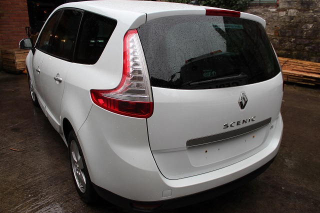 Renault Scenic Door Check Strap Front Passengers Side -  - Renault Scenic 2011 Diesel 1.5L 2010--2016 Manual 6 Speed 5 Door Electric Windows Front & Rear, Alloy Wheels, White